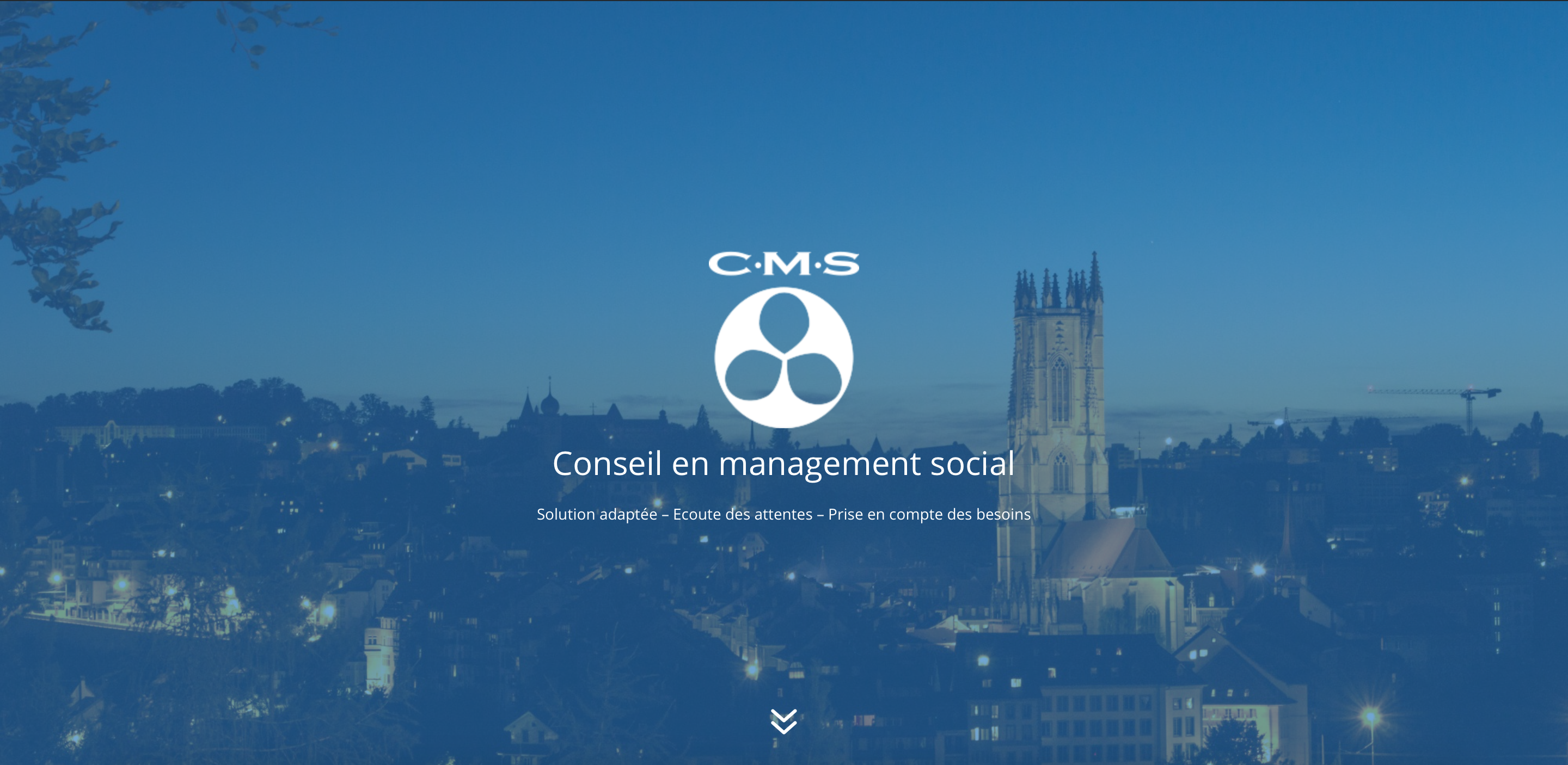 Conseil Management Social