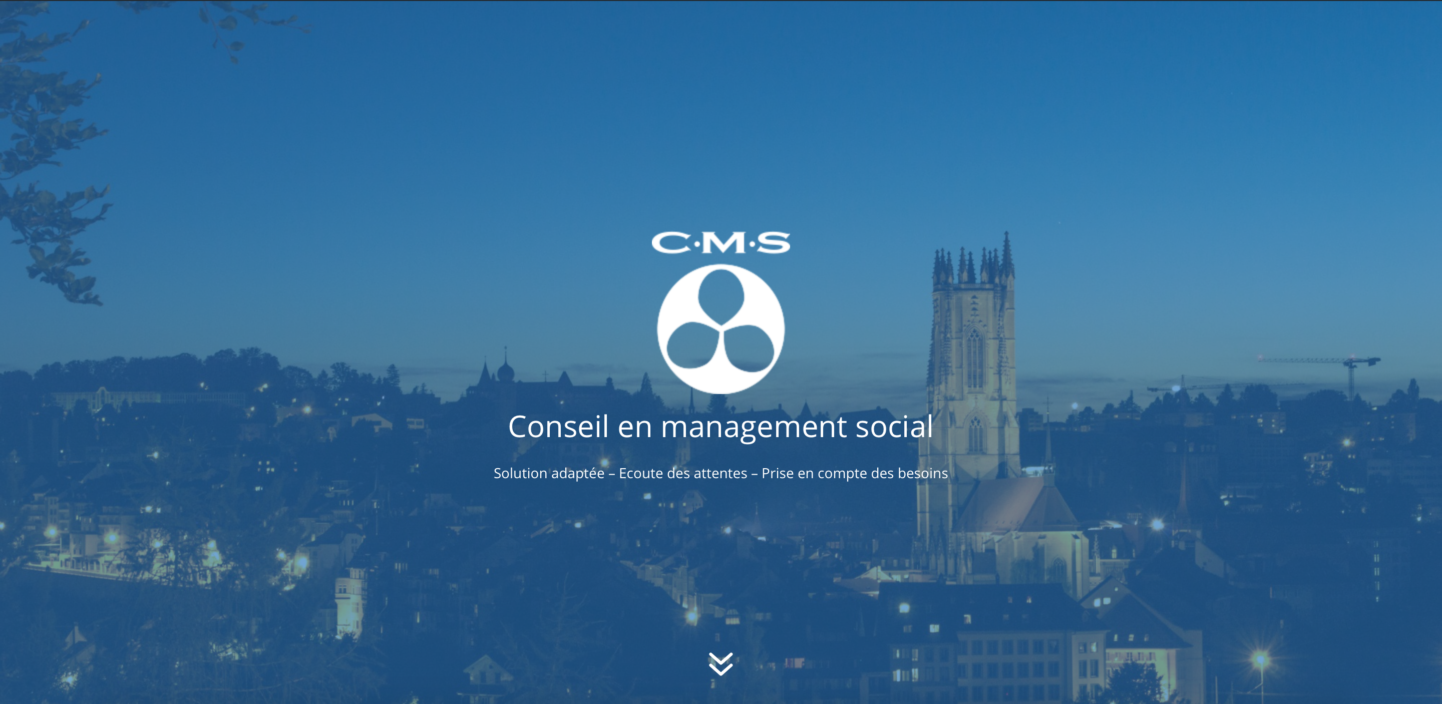 Conseil management